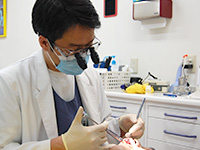 投薬による歯周ポケット内の歯周病菌の殺菌